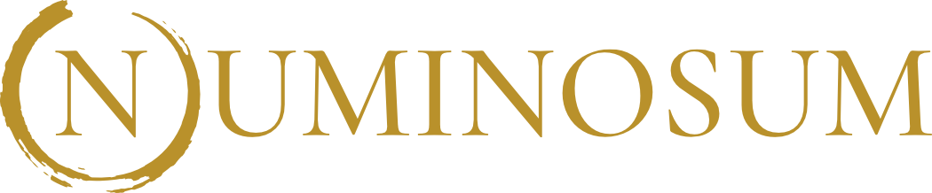 NUMINOSUM - Berufung finden