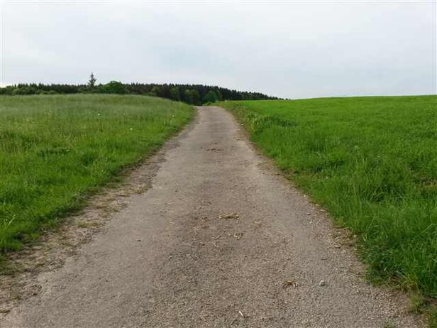 Wege aus der Einsamkeit