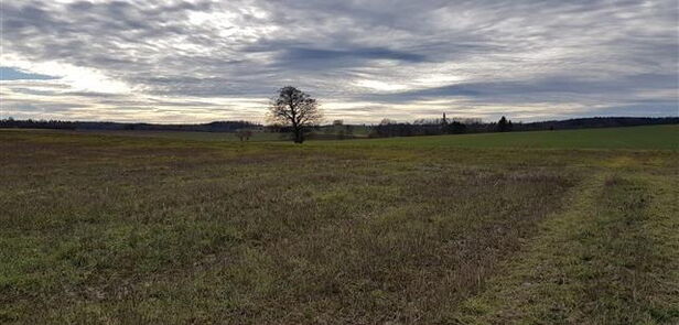 Selbstfürsorge bedeutet nicht nur sich mal zu entspannen, sondern auch für sich zu kämpfen
