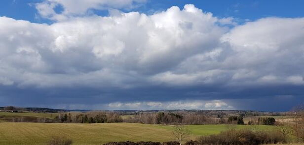 Viele halten Schmerz für sinnlos, dabei ist er für unsere Entwicklung unabdingbar
