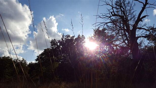 Auf dem Weg ins Licht begegnest Du Deinen Schatten. Das kann schmerzhaft sein, ist jedoch der direkte Weg zu Deinem Selbst.