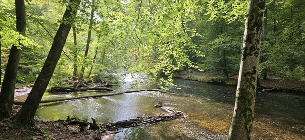 Klarheit finden in der Natur