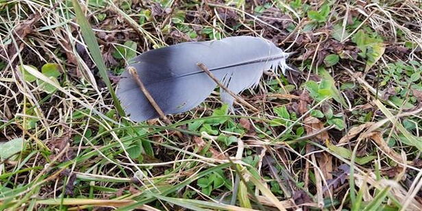 Um sich auf die spirituelle Suche zu begeben, bedarf es einer gewissen Sicherheit und dazu gehört nun mal auch körperliche Gesundheit