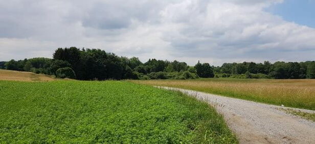 Unsicherheit steckt in jedem von uns, nur der Umgang damit unterscheidet sich