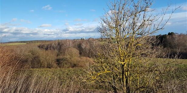 Das Leben ist Bewegung und somit ständige Veränderung. Manchmal braucht es aber innere Bewegung und dazu ist Ruhe erforderlich.