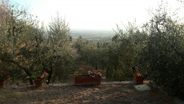 Manchmal hat man bei einer Krise das Gefühl, dass das Leben auseinanderbricht. Aber nur, wer bereit ist nachzudenken, kann dies erfolgreich für sich nutzen.