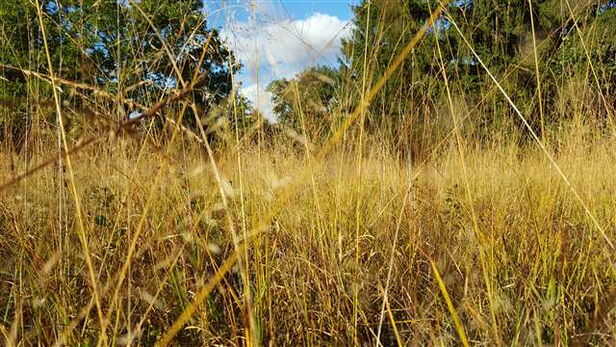 Der Weg des Mystikers führt zu tiefem Frieden und verschiebt unseren Wahrnehmungsfokus auf Werte, die uns wirklichen Halt im Leben geben.
