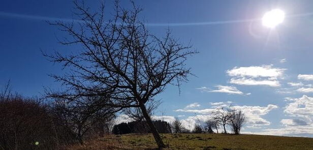 Selbstfürsorge bedeutet nicht nur sich mal zu entspannen, sondern auch für sich zu kämpfen
