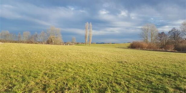 Kaum einer geht durchs Leben ohne mindestens eine schmerzhafte Erfahrung. Der Grund dafür ist wichtig für unsere Entwicklung