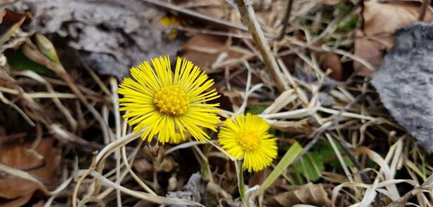 Die Einstellung, mit der man etwas angeht, ist mitentscheidend für den Erfolg