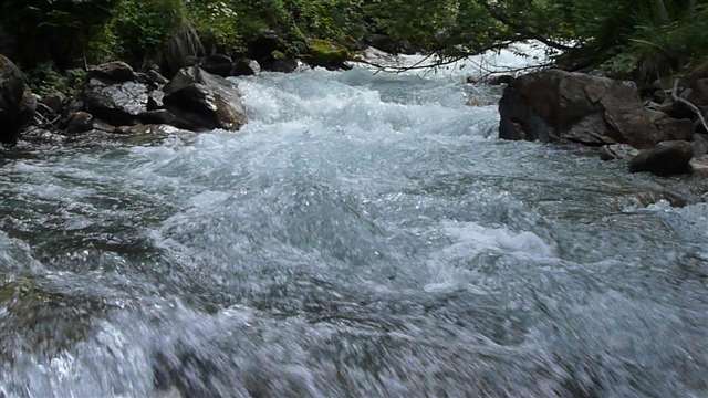 Eintauchen in den Fluss des Lebens