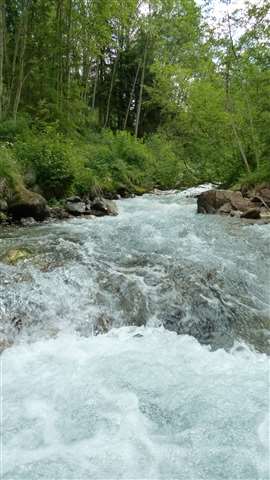 Helfen Sie als Berufungscoach in den Fluss des Lebens einzutauchen