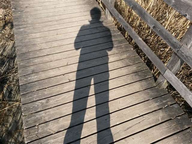 Berufliche Neuorientierung
