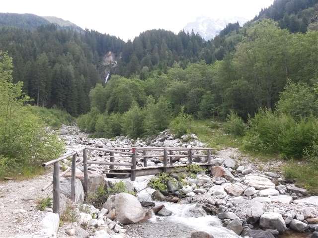 Helfen Sie eine Brücke in ein neues Leben zu bauen