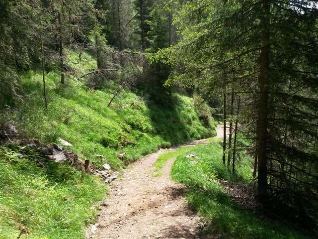 Begleitung Sie Menschen auf dem Weg zu sich selbst