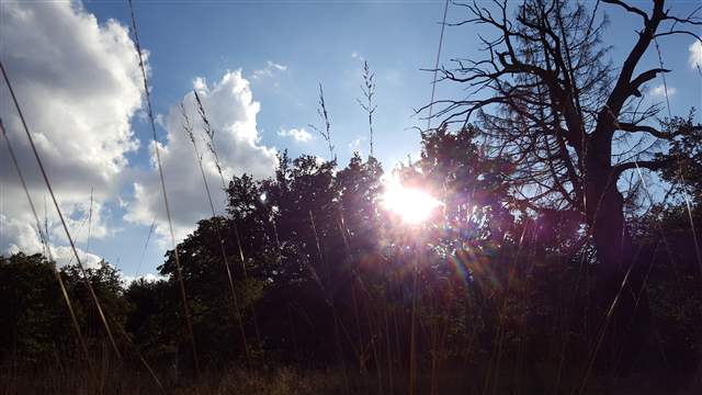 Spirituelle Krise Der Weg vom Dunkel ins Licht