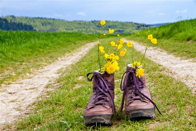 Coaching und Therapie Berufung finden, Lebensweg finden, Veränderung, Berufliche Neuorientierung